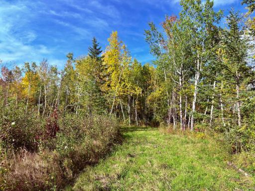 Photo for 8242 State Highway 11 SE, Baudette, MN 56623 - Listing #6788622 8242 State Highway 11 SE, Baudette, MN 56623