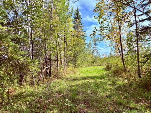 Photo for 8242 State Highway 11 SE, Baudette, MN 56623 - Listing #6788622 8242 State Highway 11 SE, Baudette, MN 56623