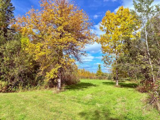Photo for 8242 State Highway 11 SE, Baudette, MN 56623 - Listing #6788622 8242 State Highway 11 SE, Baudette, MN 56623