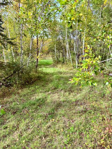 Photo for 8242 State Highway 11 SE, Baudette, MN 56623 - Listing #6788622 8242 State Highway 11 SE, Baudette, MN 56623