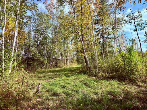 Photo for 8242 State Highway 11 SE, Baudette, MN 56623 - Listing #6788622 8242 State Highway 11 SE, Baudette, MN 56623
