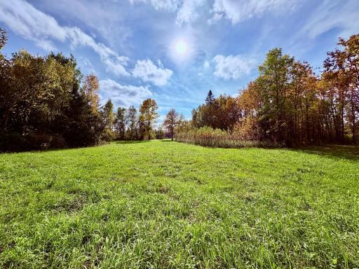 Photo for 8242 State Highway 11 SE, Baudette, MN 56623 - Listing #6788622 8242 State Highway 11 SE, Baudette, MN 56623