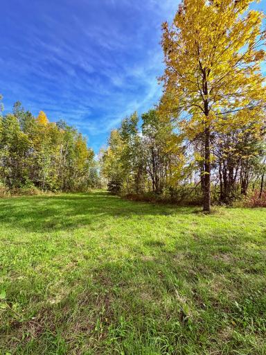 Photo for 8242 State Highway 11 SE, Baudette, MN 56623 - Listing #6788622 8242 State Highway 11 SE, Baudette, MN 56623