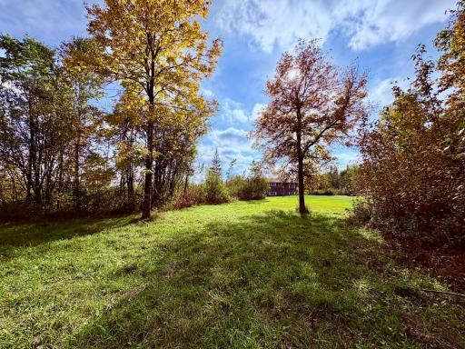 Photo for 8242 State Highway 11 SE, Baudette, MN 56623 - Listing #6788622 8242 State Highway 11 SE, Baudette, MN 56623