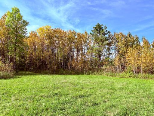 Photo for 8242 State Highway 11 SE, Baudette, MN 56623 - Listing #6788622 8242 State Highway 11 SE, Baudette, MN 56623