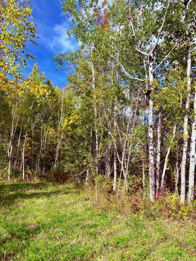 Photo for 8242 State Highway 11 SE, Baudette, MN 56623 - Listing #6788622 8242 State Highway 11 SE, Baudette, MN 56623