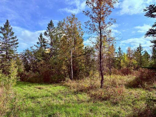 Photo for 8242 State Highway 11 SE, Baudette, MN 56623 - Listing #6788622 8242 State Highway 11 SE, Baudette, MN 56623