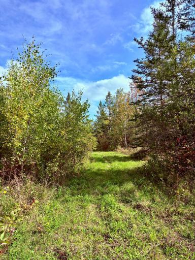 Photo for 8242 State Highway 11 SE, Baudette, MN 56623 - Listing #6788622 8242 State Highway 11 SE, Baudette, MN 56623