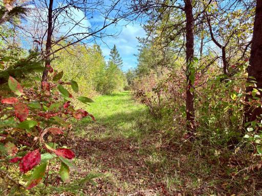 Photo for 8242 State Highway 11 SE, Baudette, MN 56623 - Listing #6788622 8242 State Highway 11 SE, Baudette, MN 56623