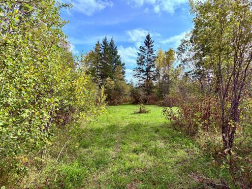 Photo for 8242 State Highway 11 SE, Baudette, MN 56623 - Listing #6788622 8242 State Highway 11 SE, Baudette, MN 56623
