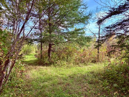 Photo for 8242 State Highway 11 SE, Baudette, MN 56623 - Listing #6788622 8242 State Highway 11 SE, Baudette, MN 56623