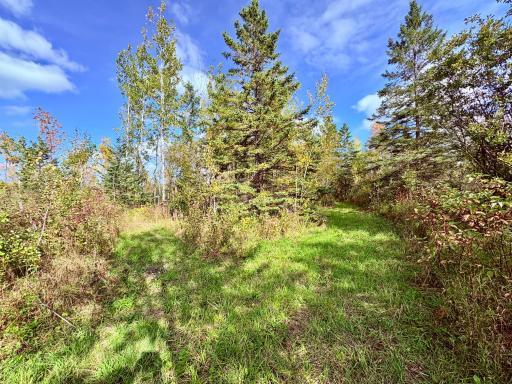 Photo for 8242 State Highway 11 SE, Baudette, MN 56623 - Listing #6788622 8242 State Highway 11 SE, Baudette, MN 56623