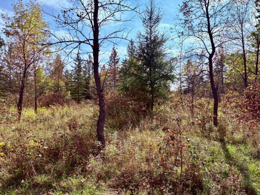 Photo for 8242 State Highway 11 SE, Baudette, MN 56623 - Listing #6788622 8242 State Highway 11 SE, Baudette, MN 56623