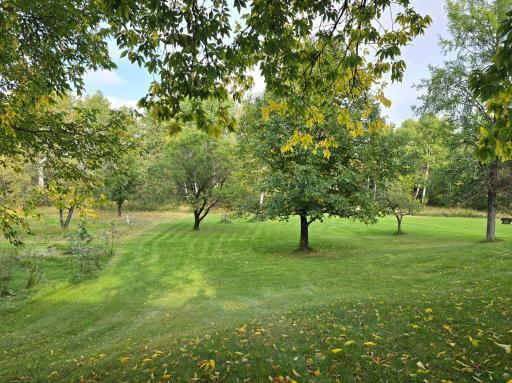 3696 County Road 142, International Falls, MN 56649