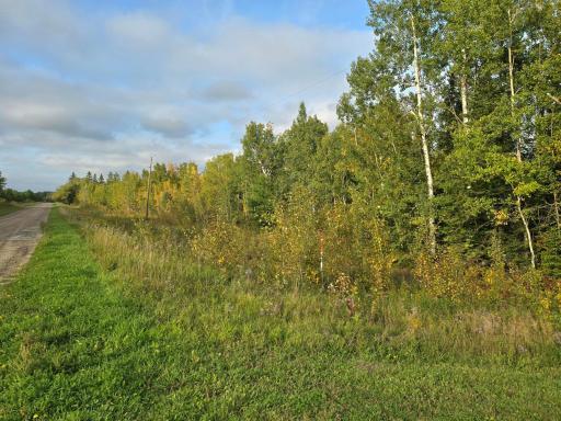 3696 County Road 142, International Falls, MN 56649