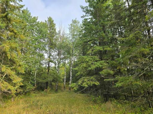 3696 County Road 142, International Falls, MN 56649