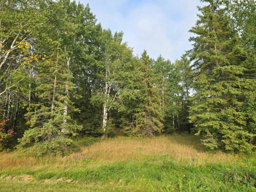 3696 County Road 142, International Falls, MN 56649