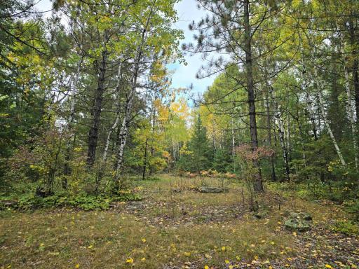 3696 County Road 142, International Falls, MN 56649