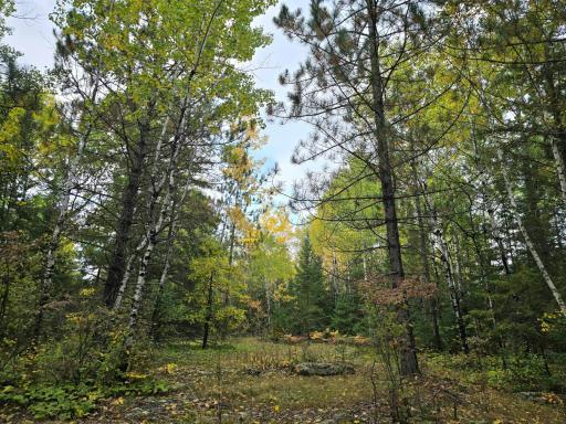 3696 County Road 142, International Falls, MN 56649