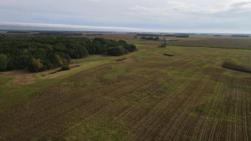 00000 Hwy 59 NE, Thief River Falls, MN 56701