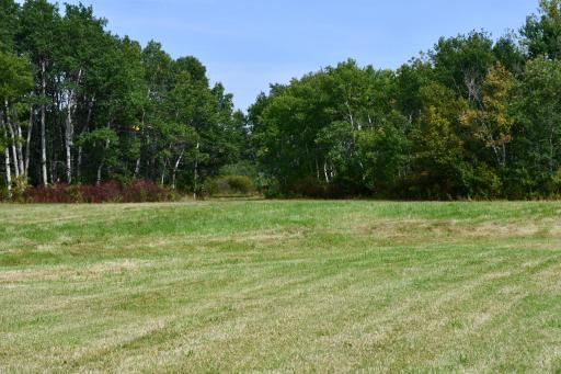 00000 Hwy 59 NE, Thief River Falls, MN 56701