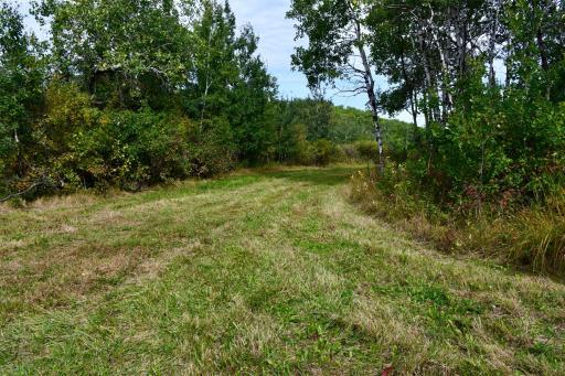 00000 Hwy 59 NE, Thief River Falls, MN 56701