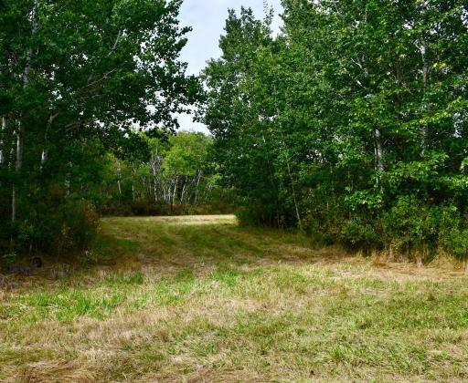 00000 Hwy 59 NE, Thief River Falls, MN 56701