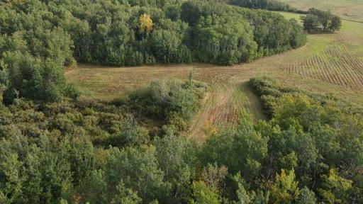 00000 Hwy 59 NE, Thief River Falls, MN 56701