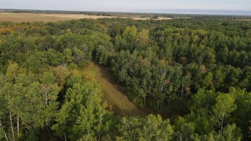 00000 Hwy 59 NE, Thief River Falls, MN 56701