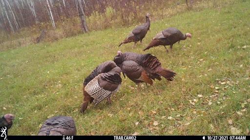 00000 Hwy 59 NE, Thief River Falls, MN 56701