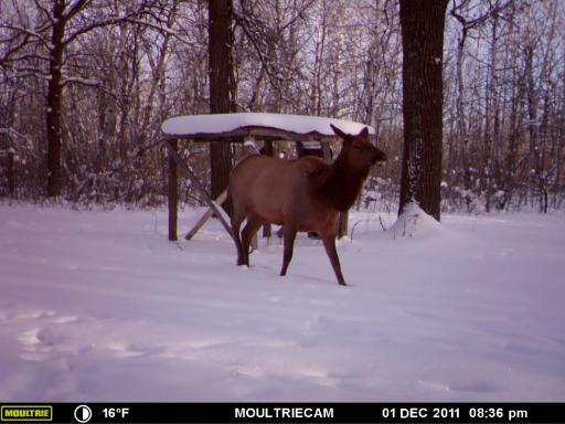 00000 Hwy 59 NE, Thief River Falls, MN 56701