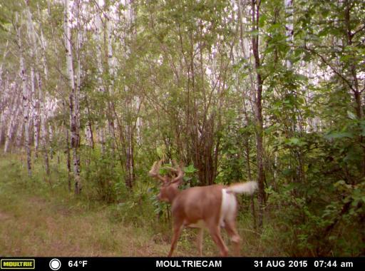 00000 Hwy 59 NE, Thief River Falls, MN 56701