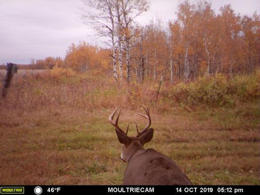 00000 Hwy 59 NE, Thief River Falls, MN 56701