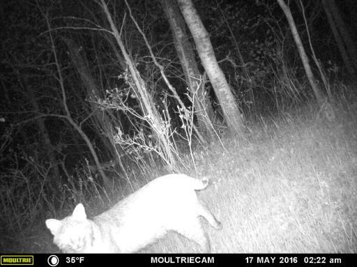 00000 Hwy 59 NE, Thief River Falls, MN 56701