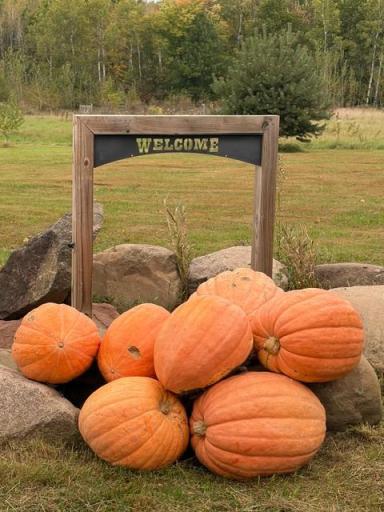 8379 Deer Valley Road, Pine City, MN 55063
