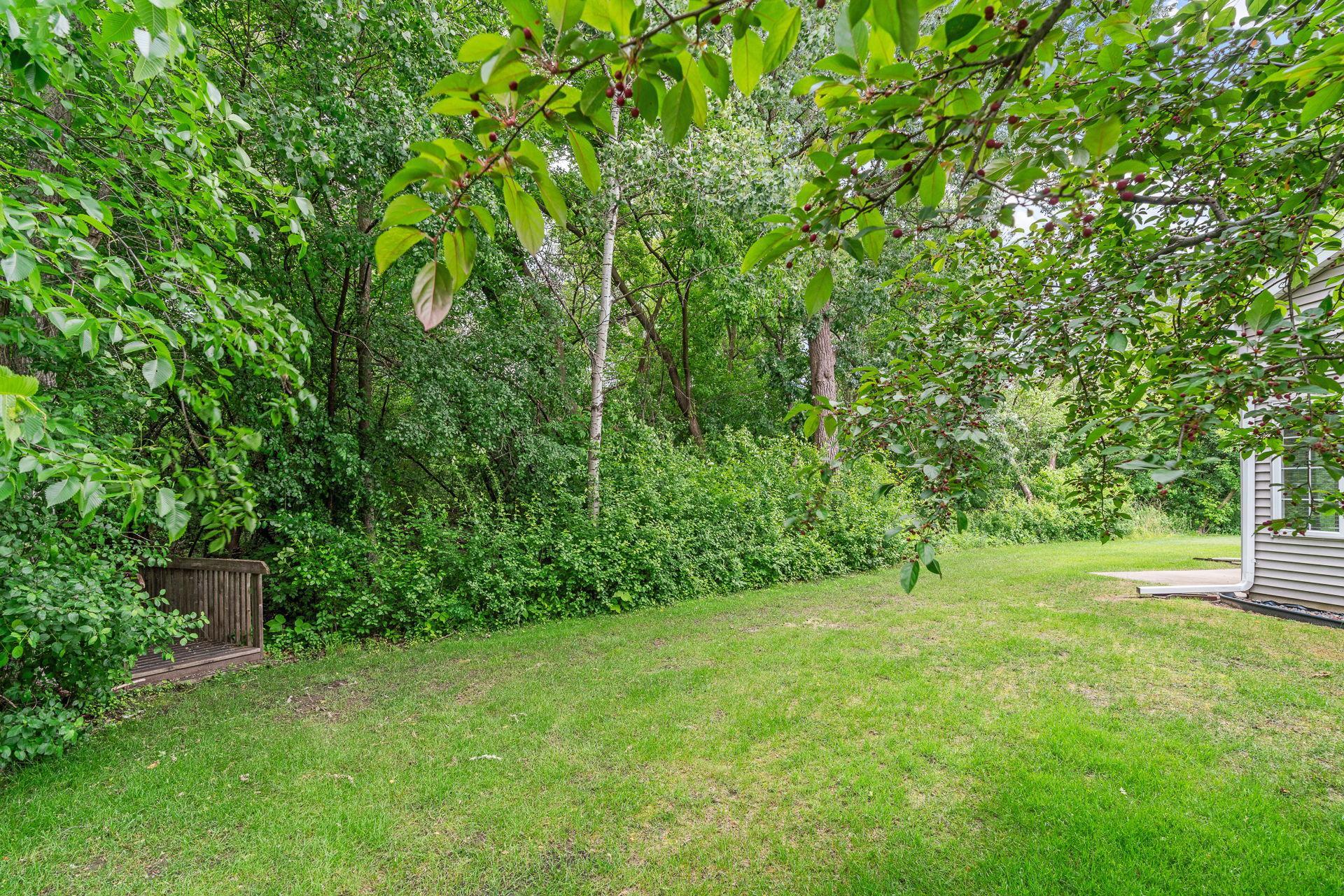 Wood lot