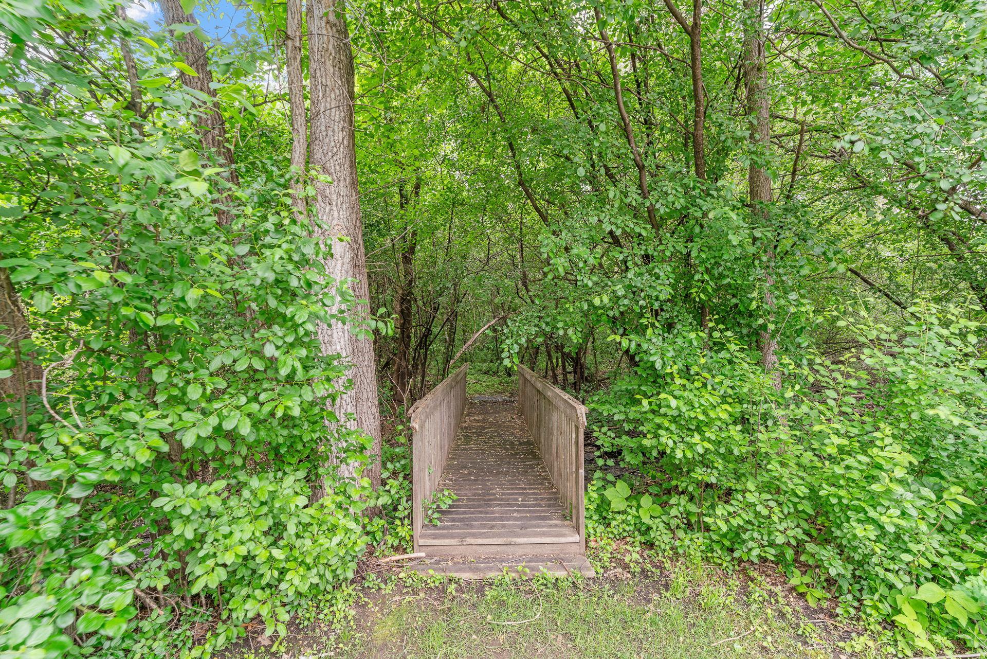 Bridge to wooded area from the backyard