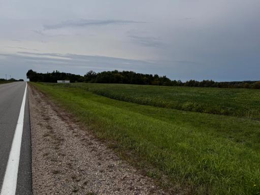 photo down the road looking toward the homesite.JPG