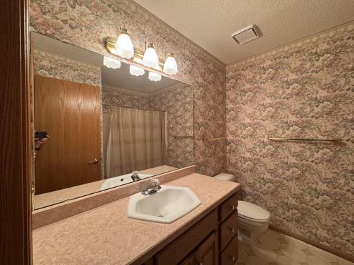 1570 Alvina Street, Red Wing, MN 55066