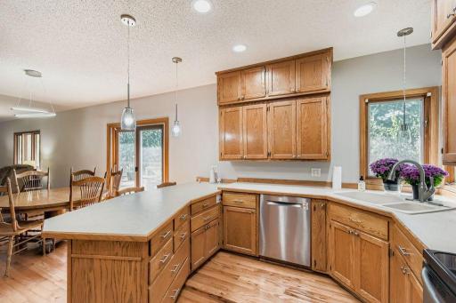 4542 148th Court, Saint Paul, MN 55124