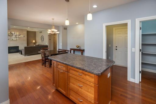 Kitchen, large pantry