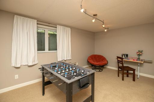 Family Room in basement