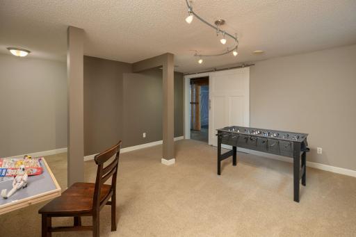 Family Room in basement