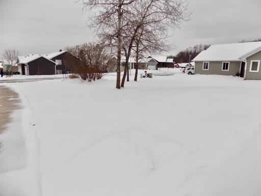 Side yard- winter picture