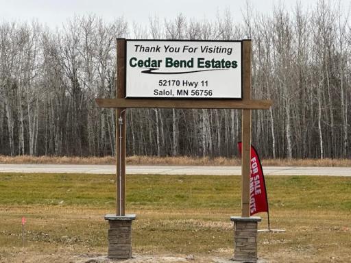 52170 State Hwy 11, Lot 29, Salol, MN 56756