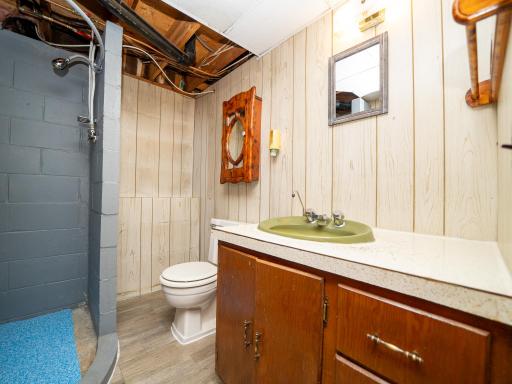 Lower level bathroom