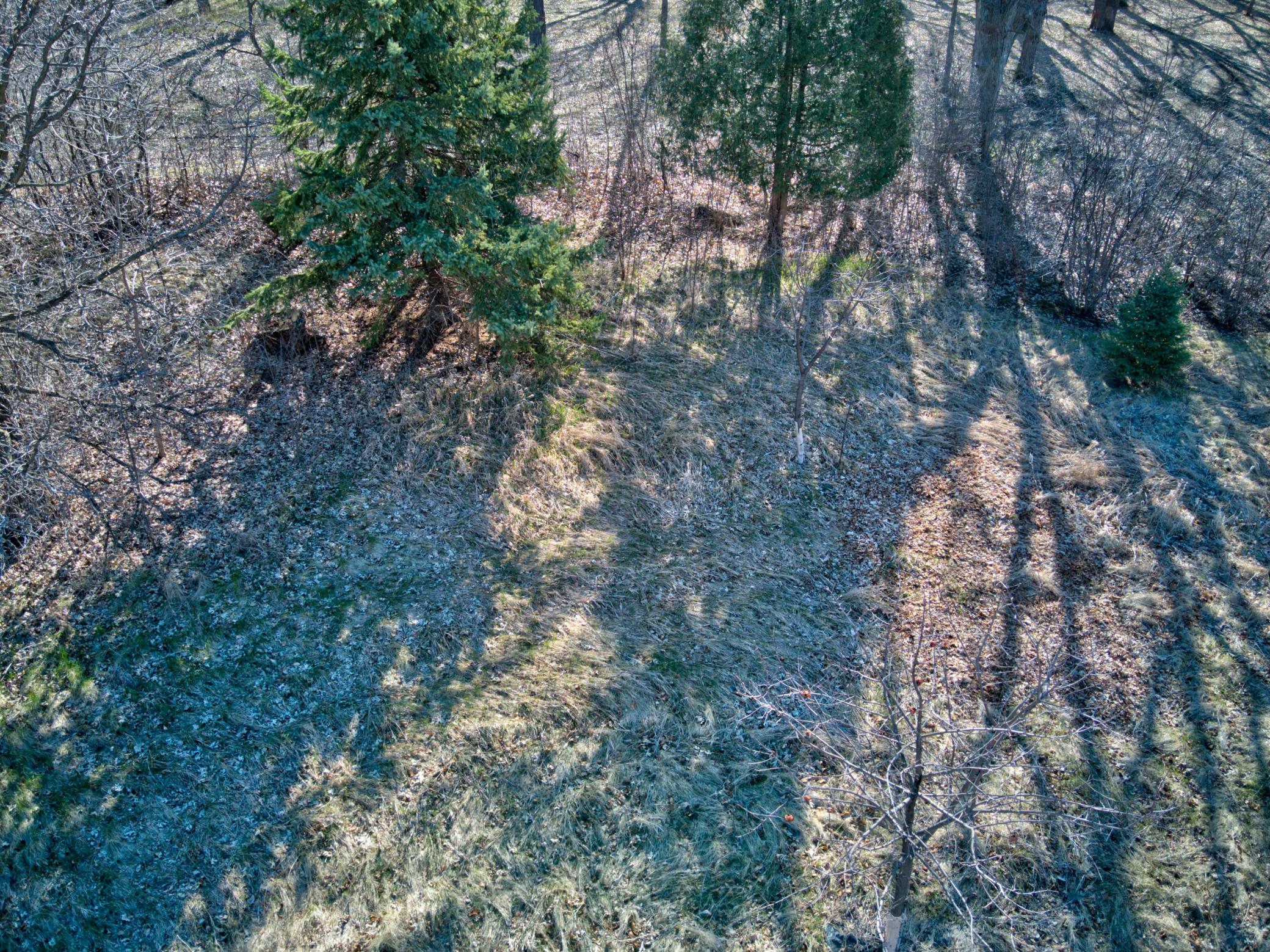 DJI_0723_4_5.jpg