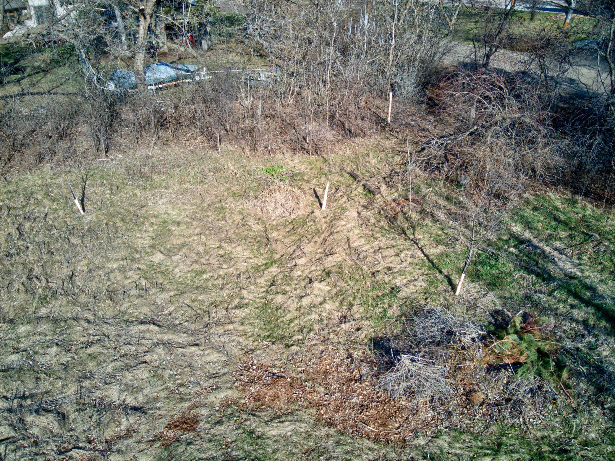 DJI_0714_5_6.jpg