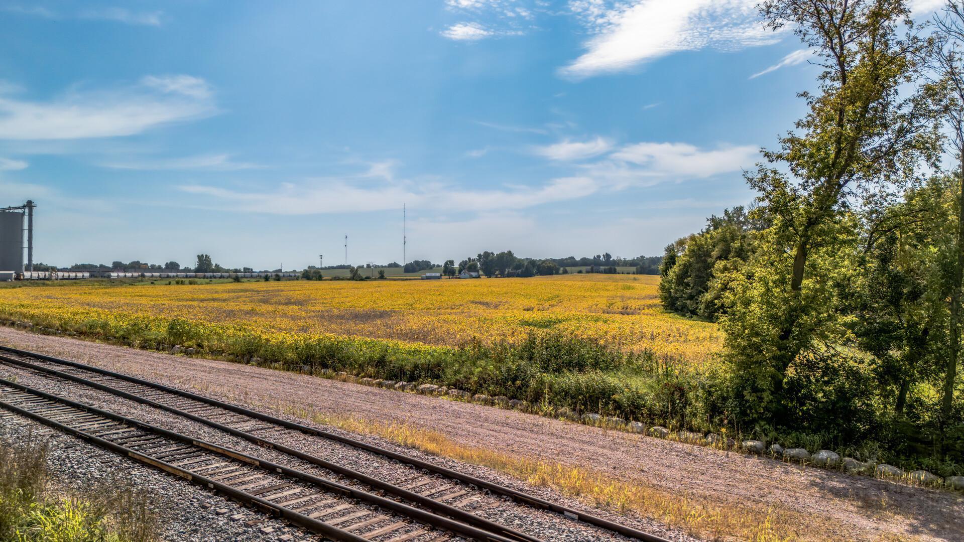 From rail road property and spur looking south to subject 50 Acre parcel.