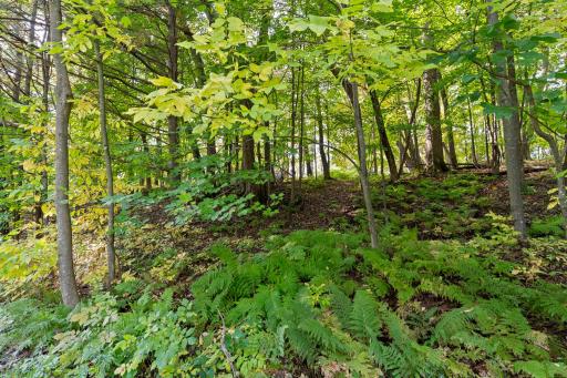 2603 Jeffery Boulevard, Cumberland, WI 54829